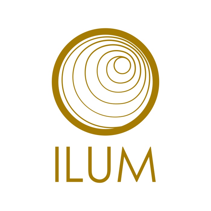 ILUM • Institut für Lösungen Ulrike Meseck Logo